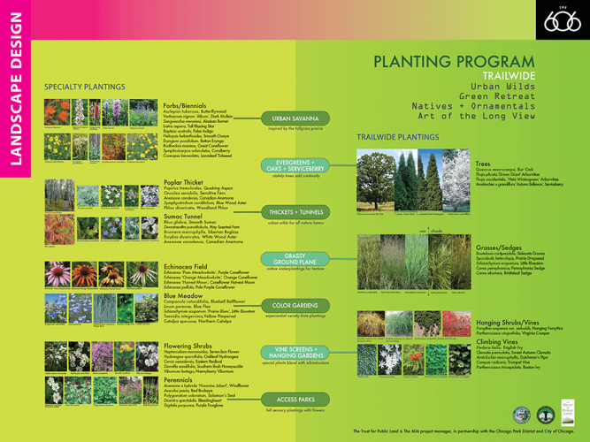 606_11_Planting-01